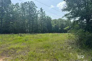 0 Nokomis Rd, Walnut Hill, FL 32568 - Photo 43