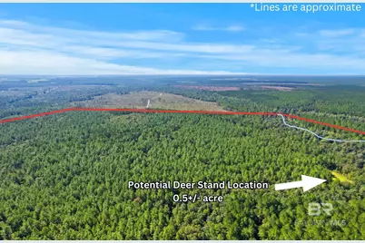 0 Nokomis Road, Walnut Hill, FL 32568 - Photo 7