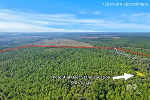 0 Nokomis Rd, Walnut Hill, FL 32568 - Photo 7