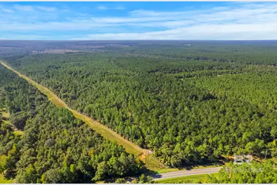 0 Nokomis Road, Walnut Hill, FL 32568 - Photo 49