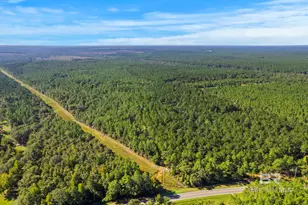 0 Nokomis Rd, Walnut Hill, FL 32568 - Photo 49