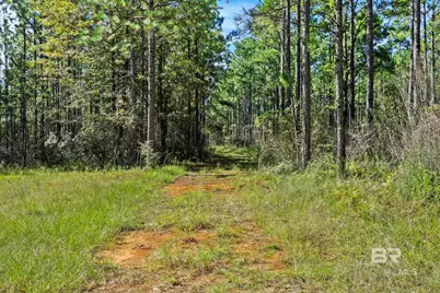 0 Nokomis Road, Walnut Hill, FL 32568 - Photo 13