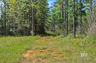 0 Nokomis Rd, Walnut Hill, FL 32568 - Photo 13