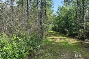 0 Nokomis Rd, Walnut Hill, FL 32568 - Photo 27