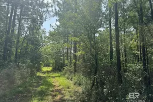 0 Nokomis Rd, Walnut Hill, FL 32568 - Photo 5