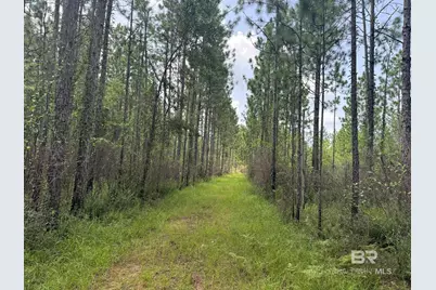 0 Nokomis Road, Walnut Hill, FL 32568 - Photo 31