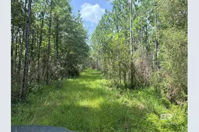 0 Nokomis Road, Walnut Hill, FL 32568 - Photo 33