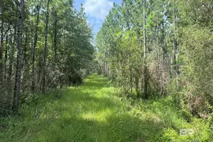 0 Nokomis Rd, Walnut Hill, FL 32568 - Photo 33