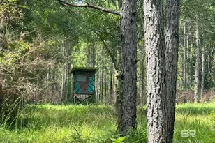 0 Nokomis Rd, Walnut Hill, FL 32568 - Photo 3