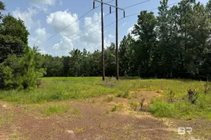 0 Nokomis Rd, Walnut Hill, FL 32568 - Photo 45