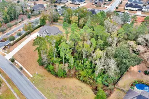 8624 N Lamhatty Ln, Daphne, AL 36526 - Photo 61