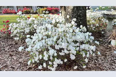 45554 County Road 112, Bay Minette, AL 36507 - Photo 51