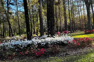 45554 County Rd 112, Bay Minette, AL 36507 - Photo 43