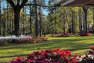 45554 County Rd 112, Bay Minette, AL 36507 - Photo 49