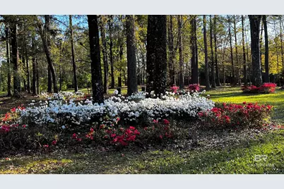 45554 County Road 112, Bay Minette, AL 36507 - Photo 47