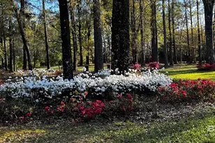 45554 County Rd 112, Bay Minette, AL 36507 - Photo 47