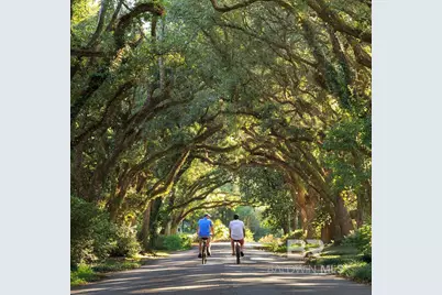 334 Morning Mist Way, Fairhope, AL 36532 - Photo 41