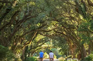 334 Morning Mist Wy, Fairhope, AL 36532 - Photo 41