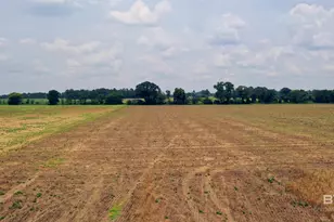 1 Shell Rd, Jay, FL 32565 - Photo 11