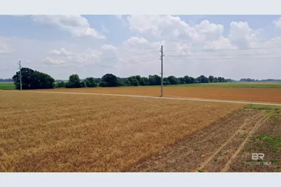 2 Shell Road, Jay, FL 32565 - Photo 17