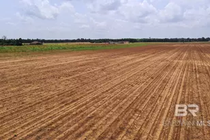 1 Hwy 182, Jay, FL 32565 - Photo 15