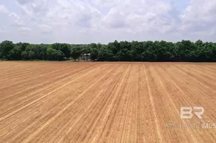 1 Hwy 182, Jay, FL 32565 - Photo 19