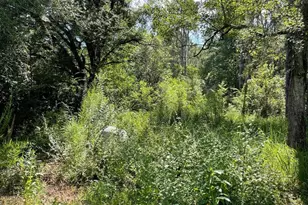 20150 Co Rd 87, Robertsdale, AL 36567 - Photo 1