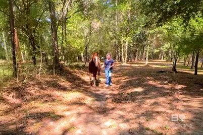 36001 Sibley Road, Stapleton, AL 36578 - Photo 5