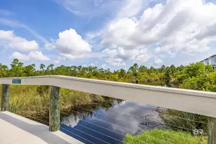 2496 Saltgrass Wy, Orange Beach, AL 36561 - Photo 57
