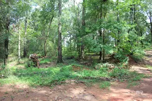 9300 Jeff Hamilton Rd, Mobile, AL 36695 - Photo 11