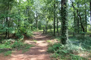 9300 Jeff Hamilton Rd, Mobile, AL 36695 - Photo 13