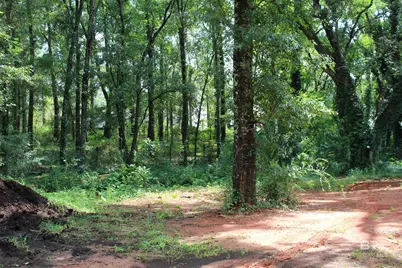 9300 Jeff Hamilton Road, Mobile, AL 36695 - Photo 17