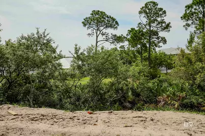 30532 Ono North Loop West, Orange Beach, AL 36561 - Photo 21
