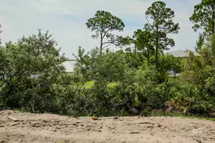 30532 Ono N Loop W, Orange Beach, AL 36561 - Photo 21