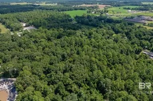 25550 US Hwy 98, Elberta, AL 36530 - Photo 7