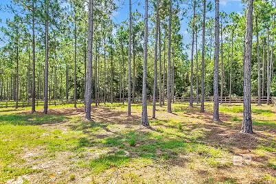 11948 Coyote Drive, Spanish Fort, AL 36527 - Photo 71