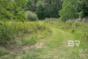 12852 Torrent Rd, Fairhope, AL 36532 - Photo 29