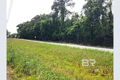00000 State Highway 225, Bay Minette, AL 36507 - Photo 3