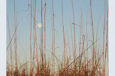 1380 State Highway 180 #105, Gulf Shores, AL 36542 - Photo 37