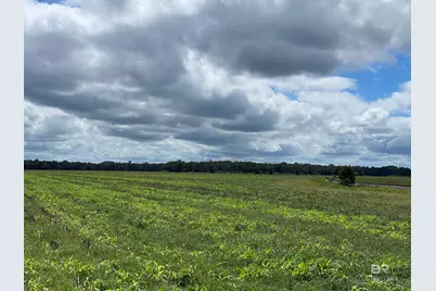 5700 Block Pine Forest Road, Walnut Hill, FL 32568 - Photo 17