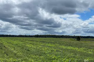 5700 Block Pine Forest Rd, Walnut Hill, FL 32568 - Photo 17