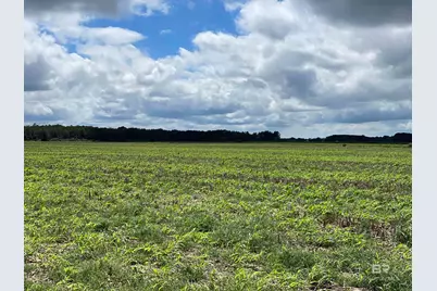 5700 Block Pine Forest Road, Walnut Hill, FL 32568 - Photo 23