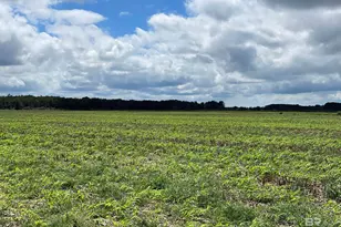 5700 Block Pine Forest Rd, Walnut Hill, FL 32568 - Photo 23