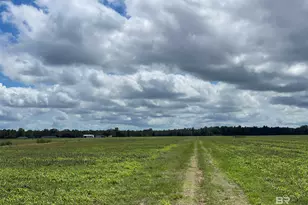 5700 Block Pine Forest Rd, Walnut Hill, FL 32568 - Photo 21