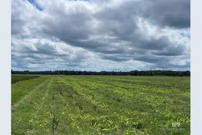 5700 Block Pine Forest Road, Walnut Hill, FL 32568 - Photo 19