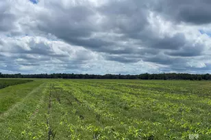 5700 Block Pine Forest Rd, Walnut Hill, FL 32568 - Photo 19