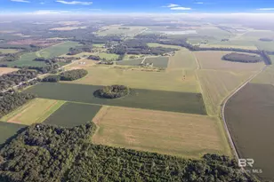 5700 Block Pine Forest Rd, Walnut Hill, FL 32568 - Photo 43