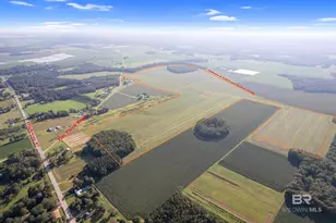 5700 Block Pine Forest Rd, Walnut Hill, FL 32568 - Photo 9