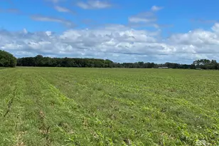 5700 Block Pine Forest Rd, Walnut Hill, FL 32568 - Photo 19