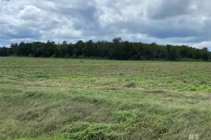 5700 Block Pine Forest Rd, Walnut Hill, FL 32568 - Photo 27